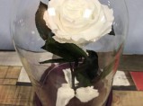 Роза в Стекле(стеклянной колбе) Подарок для Любимой / Санкт-Петербург